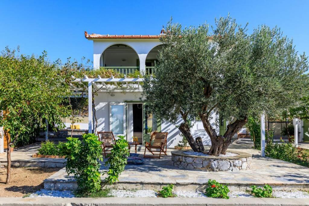 Nina-Myrtia Countryside House Skopelos Ditropo Exteriör bild
